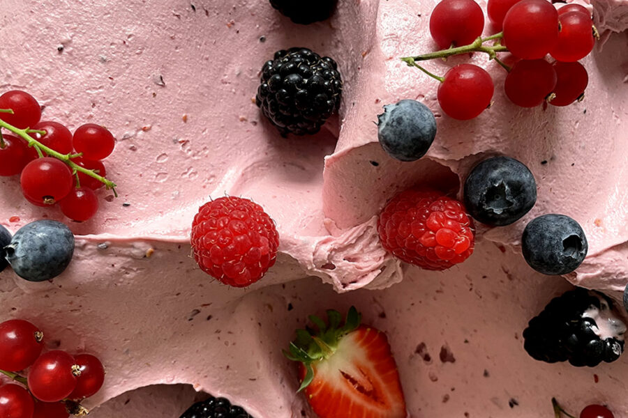 GUSTO YOGURT E FRUTTI DI BOSCO